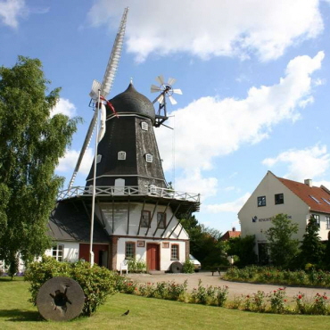 Ringsted Museum